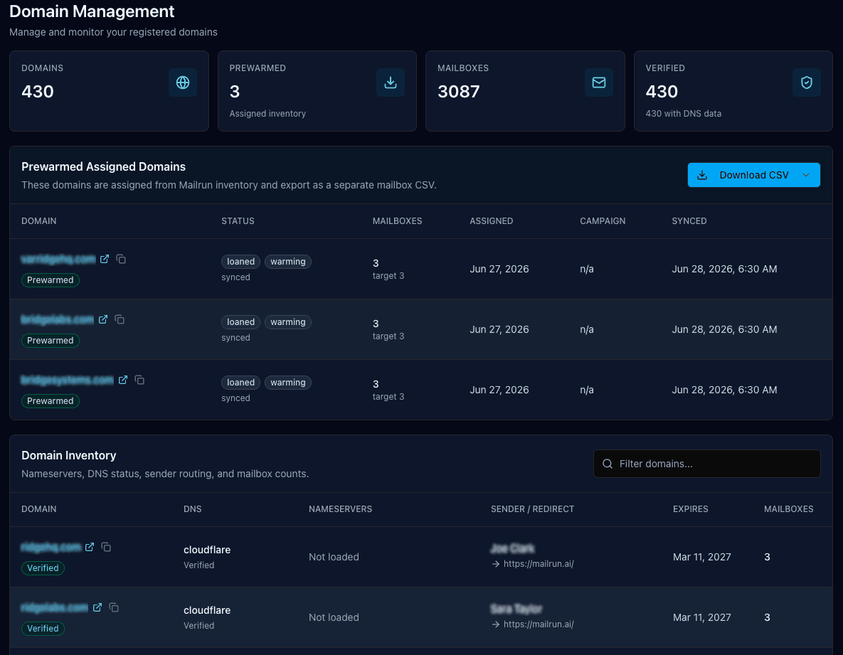 Mailrun portal — Domain management, sanitized screenshot